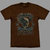 Lynyrd Skynyrd - Sweet Home Alabama